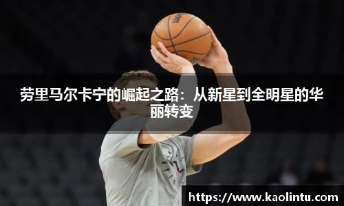 劳里马尔卡宁的崛起之路：从新星到全明星的华丽转变